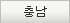 충남